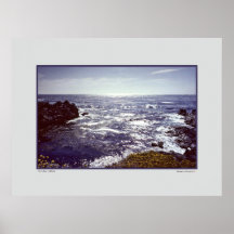 Point Lobos - la Californie Affiche