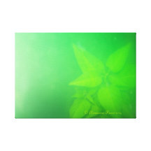 Poires 2012. de CanvasArt-LimePlant.© Roseanne Impressions Sur Toile