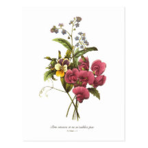 Pois doux et alto carte postale