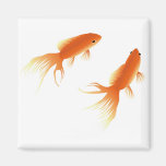 POISSON ROUGE AIMANT