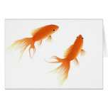 POISSON ROUGE CARTE DE VŒUX
