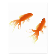 POISSON ROUGE CARTES POSTALES