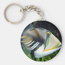 poissons aquatiques de déclencheur de scènes porte-clefs