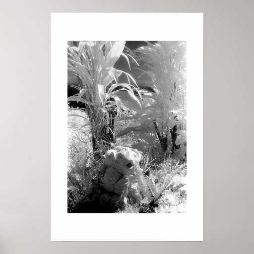 Poissons au jardin d'Éden Affiches
