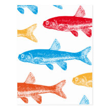 Poissons colorés cartes postales