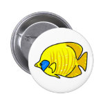 poissons de papillon pin's