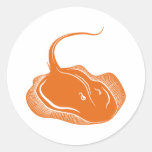 Poissons de pastenague adhésifs