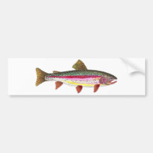 Poissons de truite arc-en-ciel autocollants pour voiture
