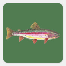 Poissons de truite arc-en-ciel autocollants