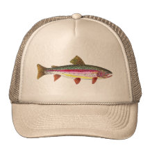 Poissons de truite arc-en-ciel casquettes
