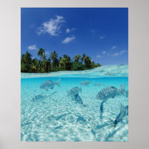 Poissons en mer affiche