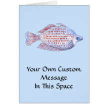 Poissons. Ligne rouge Rainbowfish. Carte De Vœux