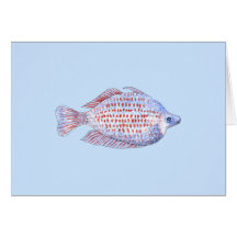 Poissons. Ligne rouge Rainbowfish. Cartes