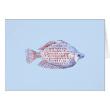 Poissons. Ligne rouge Rainbowfish. Cartes De Vœux