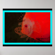 Poissons Posters
