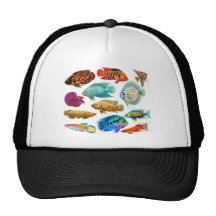 Poissons tropicaux colorés casquette de camionneur