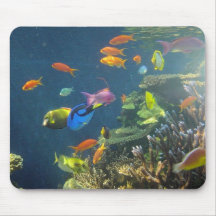Poissons tropicaux hawaïens tapis de souris