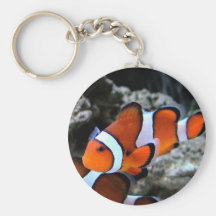 Poissons tropicaux porte-clefs