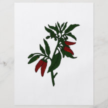 Poivrons de piment rouge sur le plante vert-foncé prospectus personnalisés
