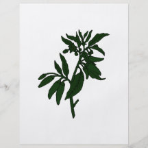 Poivrons de piment verts sur le plante vert-foncé prospectus personnalisés