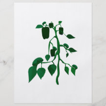 Poivrons verts sur le graphique de plante verte prospectus personnalisés