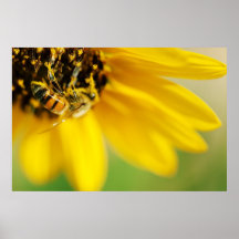 Pollinisation Affiche
