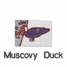 Polo de canard de Muscovy