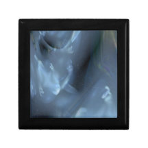 Poltergeists Jewelry Box