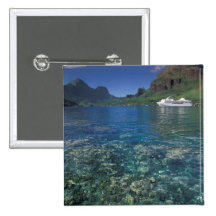 Polynésie française, Moorea. Baie de cuisiniers. B Badge