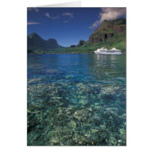 Polynésie française, Moorea. Baie de cuisiniers. B Cartes De Vœux