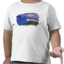 Polynésie française, Moorea. Baie de cuisiniers. B T-shirts