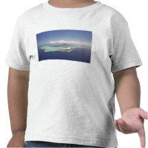 Polynésie française, Tahiti, Bora Bora. T-shirts