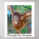 Pom-pom girl : Orang-outan d'équipe Posters