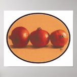 Pomegranites Affiche