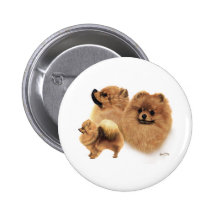 Pomeranian Badges Avec Agrafe