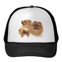 Pomeranian Casquette