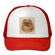 Pomeranian Casquette De Camionneur