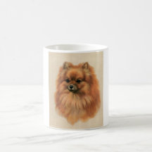Pomeranian Tasses À Café