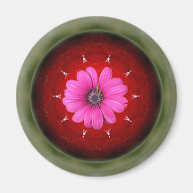 pomme et marguerite magnets