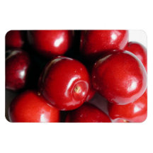 Pommes Magnets En Rectangle