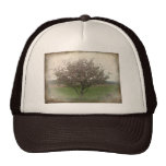 Pommier En fleur Casquette De Camionneur