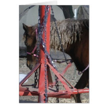 Poney doux au tour de foire régionale - masquez à  cartes de vœux