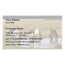 Poney sauvage cartes de visite personnelles