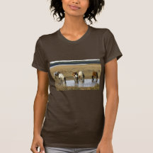 Poney sauvage t-shirts