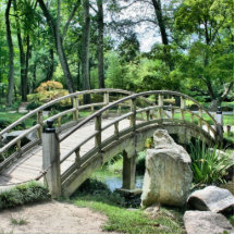 Pont dans le jardin découpage en acrylique