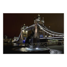 Pont de tour et la statue de fille et de dauphin photographe