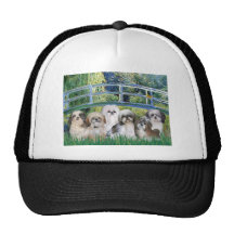 Pont - tzus de 6 Shih Casquettes