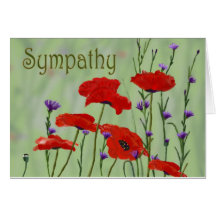 Poppies Sympathy Greeting Cards