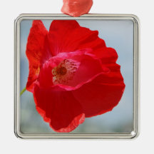 Poppy Ornements De Noël
