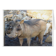 Porc de verrue cartes de vœux